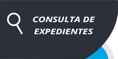 consulta-de-expedientes